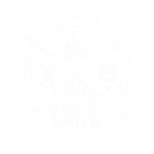 twin venture white logo transparent exact